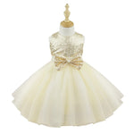Robe Mariage Petite Fille Princesse En Blanc